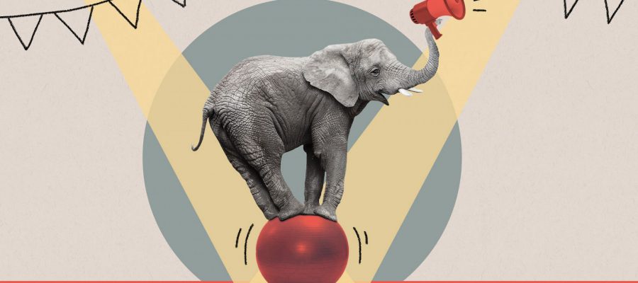 Elephant balancing on ball while holding a megaphone